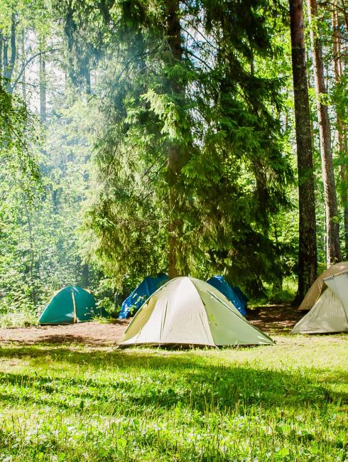 Camping animaux acceptés